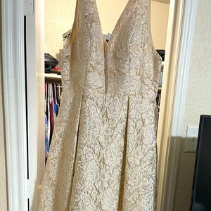 Beautiful dress. Worn once. No damage.